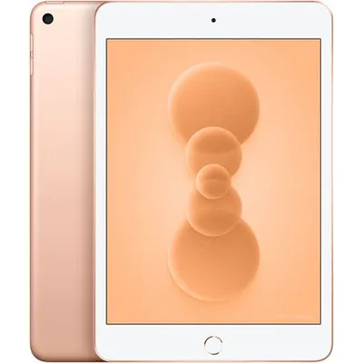 Apple iPad mini 5 A12 2019 reconditionné