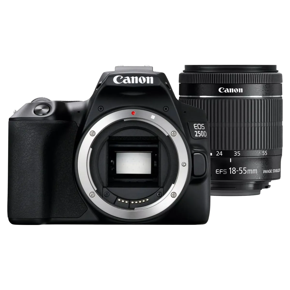Canon EOS 250D reconditionné
