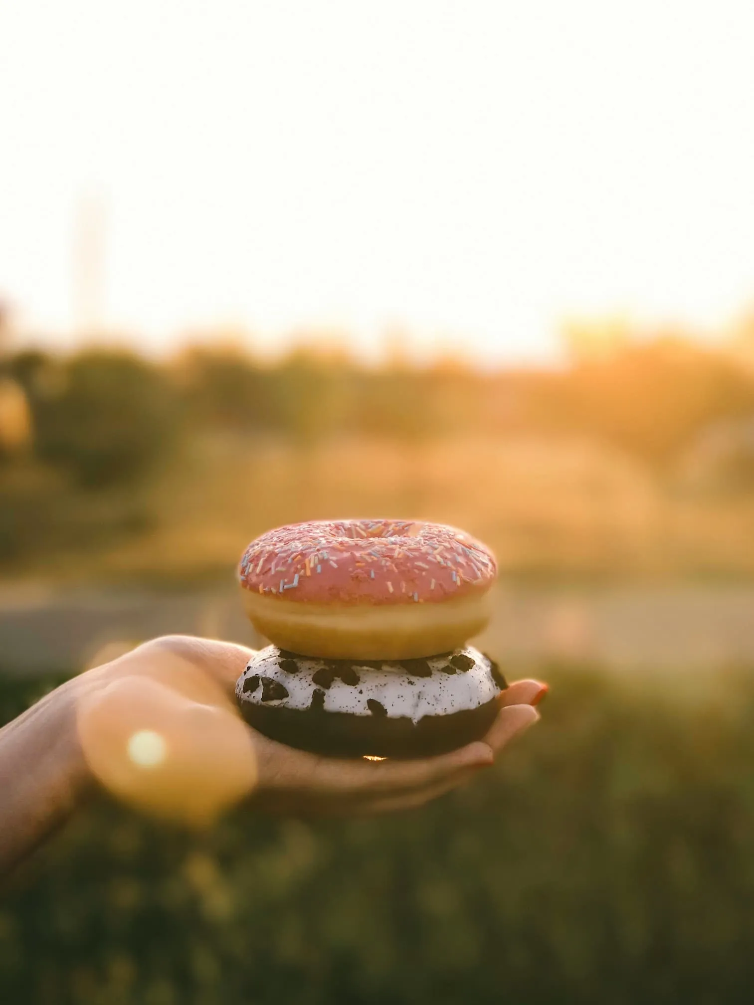 Qu’est-ce que la théorie du donut ?